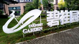 部分碧桂园境外债权人：双方在转股价格等多方面仍存在分歧