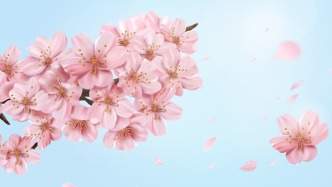 俳句中的梅與櫻