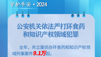 公安部：去年立案偵辦環(huán)食藥和知識產(chǎn)權(quán)領(lǐng)域刑事案件9.1萬起
