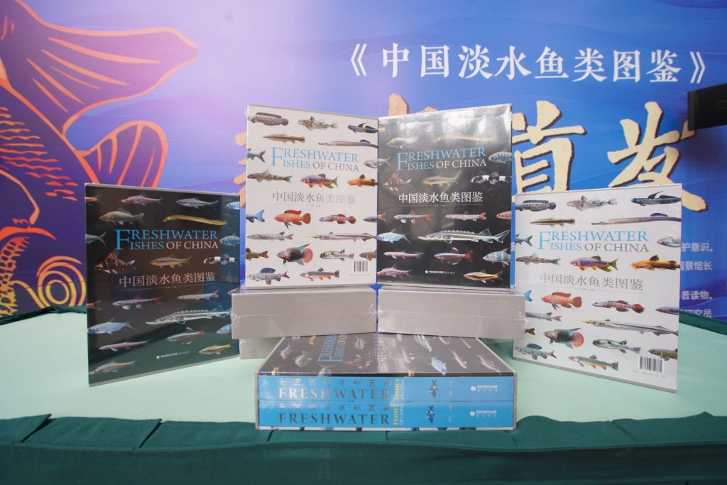 中国最为系统的鱼类活体图鉴在沪首发,涵盖729种淡水鱼类 第1张 中国最为系统的鱼类活体图鉴在沪首发,涵盖729种淡水鱼类 第1张