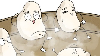 一粒米的超进化指南｜从一粒种子到被端上餐桌到底有多难