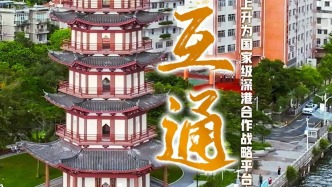 9个“高频词”，带你读懂2025年的盐田！