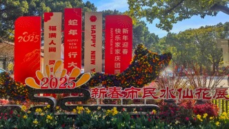 新春市民水仙花展在上海共青森林公園開幕，持續至2月4日