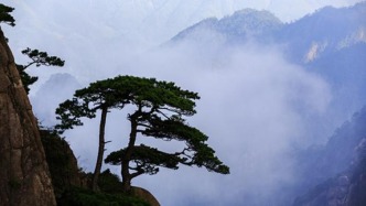 53岁知名朗诵家、星火朗诵团团长朱杰逝世