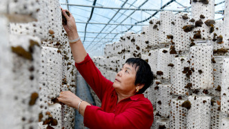 农业农村部：832个脱贫县主导产业总产值超过1.7万亿元