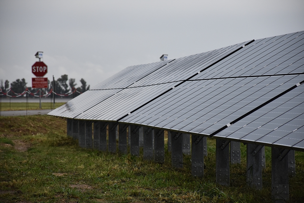 動(dòng)物大遷徙:2023年電影票房排行榜總榜-47%電力來自可再生能源，歐洲清潔能源使用創(chuàng)新高