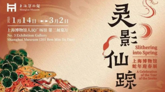 【江浙沪】一月份有什么好看的展览（第4期）