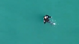 东北大哥发现有人弃车跳海，在岸上“唠嗑式”喊渔船营救