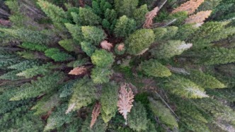 我的家庭简史｜胡泳：回到童年的榆树下，没有爱也没有怨