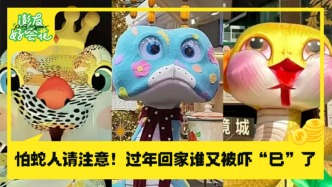 怕蛇人請注意！過年回家，誰又被嚇“巳”了｜澎友好會花