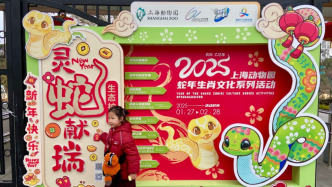 蟒蚺蝰蝮都是蛇？上海動物園展出多種蛇類，還推出了科普讀本