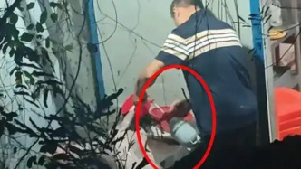 用黑墨水將“白條羊”染成“黑山羊”售賣，三亞一14人制假團伙涉案金額逾兩千萬