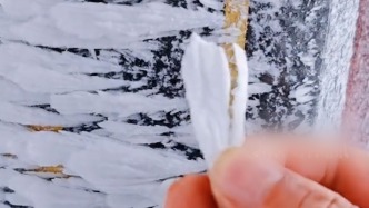 大美中國丨語文課本里對雪的描述“照進現實”，冰花如鵝毛般美麗