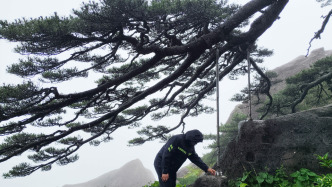 古樹(shù)名木保護(hù)條例（全文）