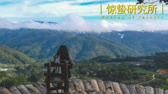 療愈經(jīng)濟(jì)崛起，跑出八大創(chuàng)新業(yè)態(tài)