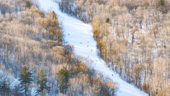 黑龍江省消協發文提醒：滑雪要熟悉雪場示意圖及安全提示