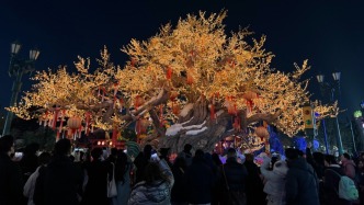 春節(jié)假期首日出行熱度高漲，除夕夜游預(yù)訂熱度同比增長(zhǎng)超100%