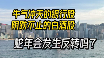 牛气冲天的银行股、阴跌不止的白酒股，蛇年会发生反转吗？