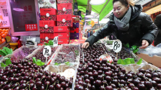 “車厘子崩盤”背后網絡假象：有電商年年賣慘銷貨，經銷商稱好貨不愁賣