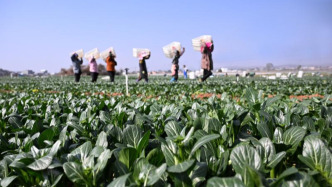 人民日报今日谈：激发农民合作社新活力