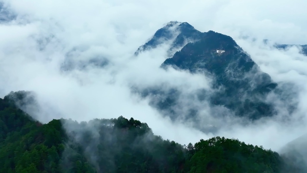 大美中國丨安徽九華山:雨潤青山,云生萬象