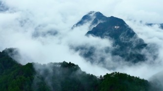 大美中國丨安徽九華山：雨潤青山，云生萬象