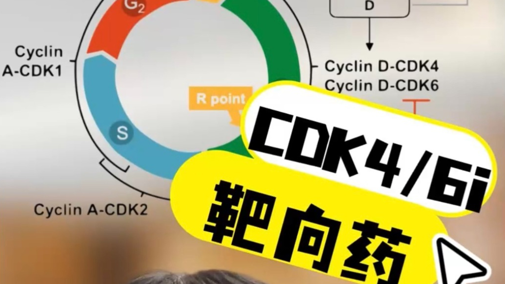 什么是CDK4/6抑制剂？