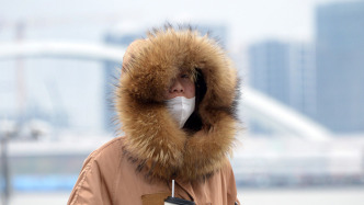 強冷空氣明日抵滬：預計本周末市區最低溫零下4℃，將創入冬以來新低