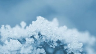 奶奶走后，家族網(wǎng)絡(luò)開(kāi)始松散