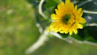 著名电磁专家李传胪逝世