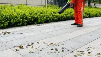 湛江一地用吹風(fēng)機(jī)清理路面遭揚(yáng)塵投訴，官方：確保類似情況不再發(fā)生