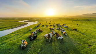 内蒙古：两年来对322名不适宜不胜任现职的干部进行组织调整