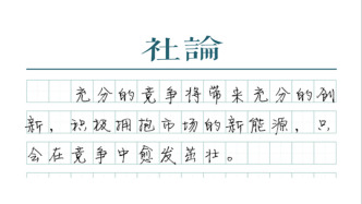 【社论】新能源发电全面竞争入市水到渠成