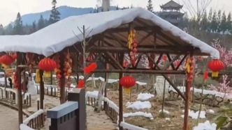 半月谈：成都雪村用棉花“造雪”，问题究竟出在哪儿？