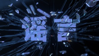 中国小动物保护协会：“某动保协会让潘宏拿出100万”系谣言