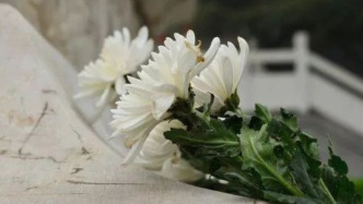 长春师范大学历史文化学院教授薛金艳病逝，年仅53岁