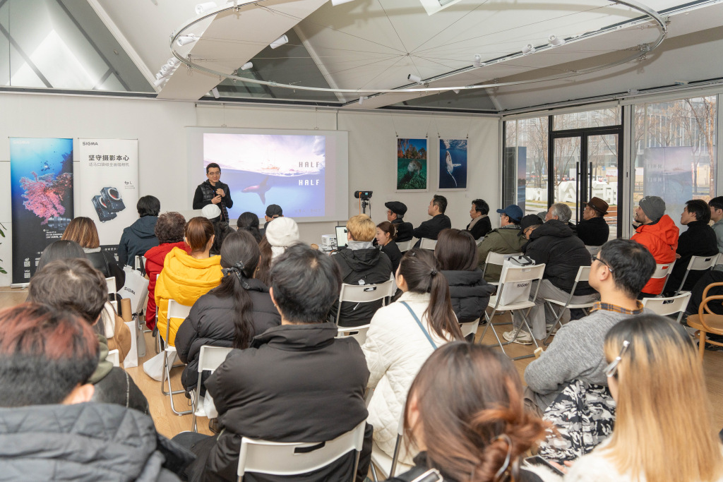 看展览｜水下摄影主题展呈现“人鱼共舞”