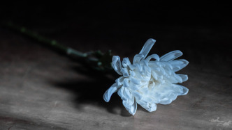 保健管理专家李秉毅逝世，享年93岁