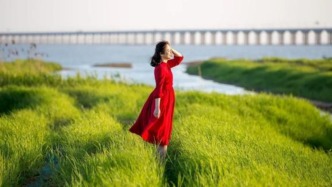 中年后最好的活法：入世，不入局