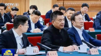 包圍在一眾科技企業(yè)中的劉永好和新希望，絕不只代表全村的希望