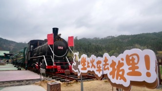 清流县深山老林场重新响起火车声，旅游新玩法重现“森工记忆”