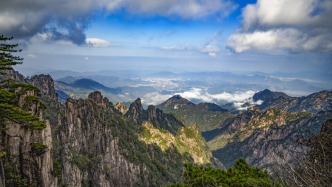 物流管理专家、上海交大教授朱道立逝世