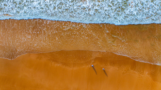 鄭恩柏《蠻與癡》：潮濕深處的呢喃