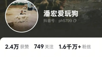 潘宏又“训死”一只狗？与邓峰“互撕”，账号内容被“一夜清空”