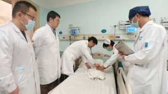 20天小生命的“心臟歷險記”：40分鐘手術如“豆腐雕花”