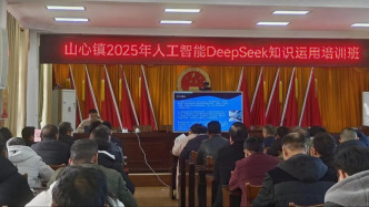 DeepSeek政务应用新场景：广西一地称用其识别潜在返贫风险