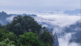 著名军旅作家陈晓林逝世，享年71岁