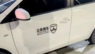 马上评丨对假“公务用车”不能批评教育了事