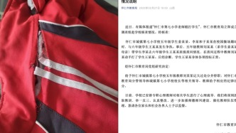 小学教师帮儿子出头动手打学生，山西怀仁市教育局：记大过并停职