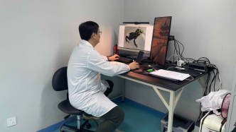 绚丽且致命，箭毒蛙被海关截获之后